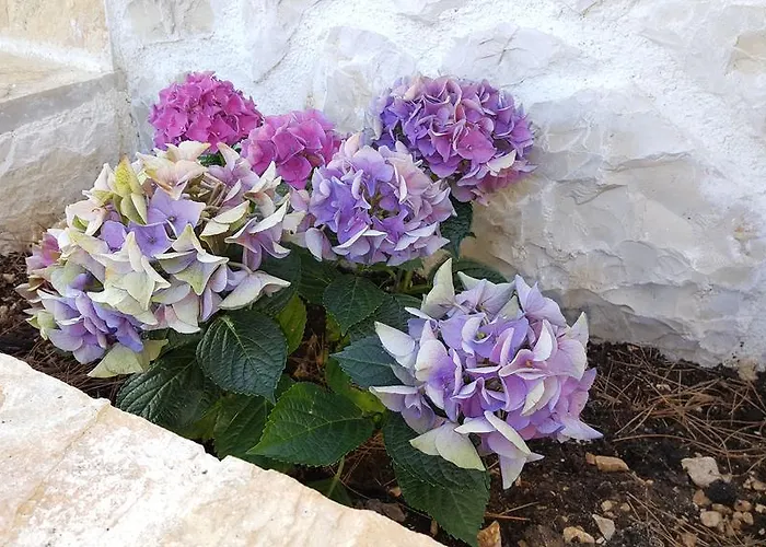 Luxury Star Lights - Heated Pool, Hot Tub, Gym, Billiard Trogir