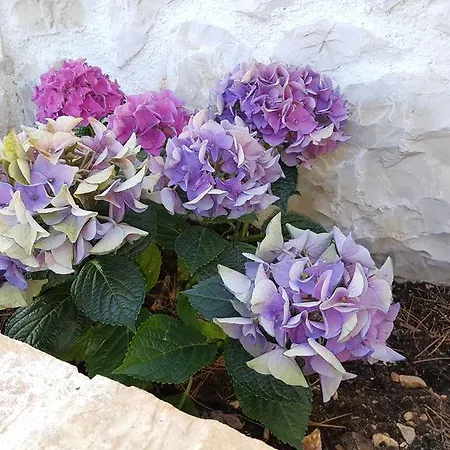 Luxury Star Lights - Heated Pool, Hot Tub, Gym, Billiard Trogir